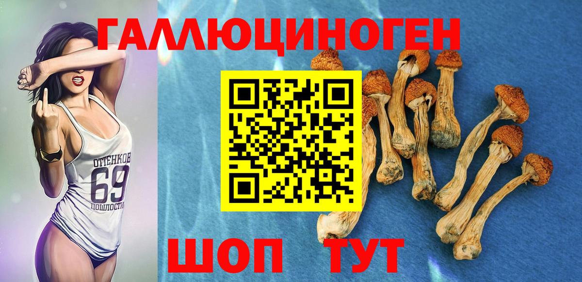 Псилоцибиновые грибы GOLDEN TEACHER Люберцы