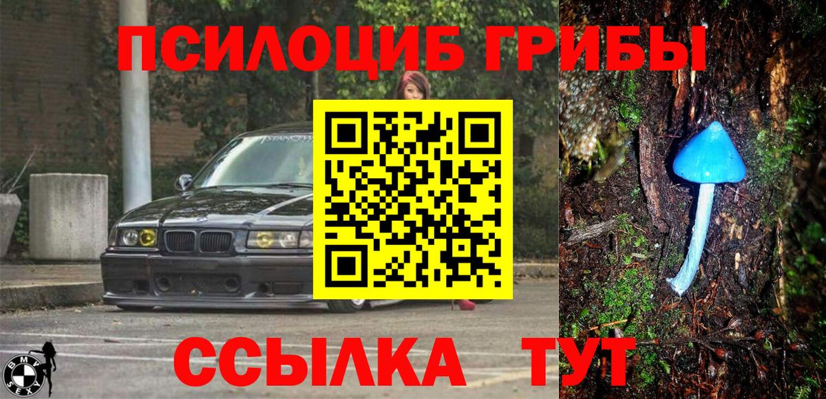 Псилоцибиновые грибы GOLDEN TEACHER  Вход с VPN  Люберцы 